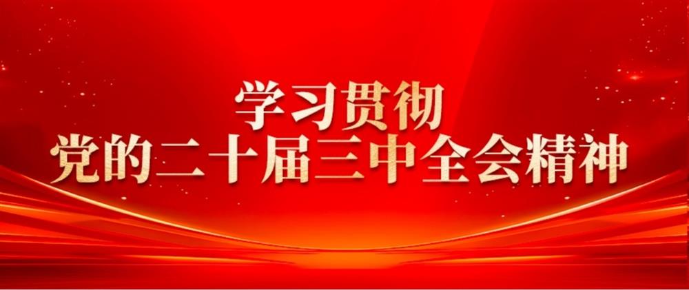學(xué)習(xí)貫徹黨的二十屆三中全會精神③ 濟(jì)糧集團(tuán)黨委書記、董事長王暉： 提升綠色倉儲水平，扛穩(wěn)糧食安全重任